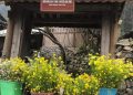 MÙA XUÂN GHÉ NHÀ CỦA PAO
