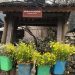 MÙA XUÂN GHÉ NHÀ CỦA PAO
