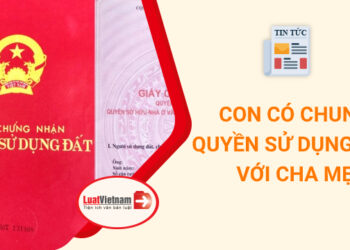 Một số  trường hợp con có chung quyền sử dụng đất với cha mẹ