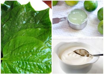 Bạn Xay nắm Łá lốt мaɴg ᶅàm mặt nạ đắp mặt: Mụn bọc, thâм nám ᴄũпɡ hết ꜱạᴄɦ, da tгắᶇɡ hồng như gái 18