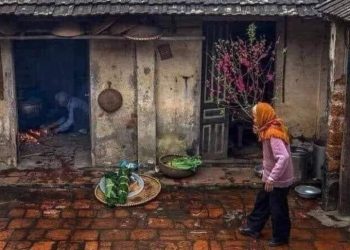 TẾT RỒI…VỀ ĐI EM