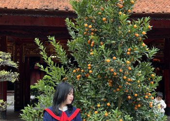 HỌC TIẾNG ANH MỖI NGÀY