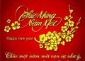 ĐẢNG UỶ, UBND, HĐND XÃ HÙNG THẮNG, BÌNH GIANG, HẢI DƯƠNG  CHÚC MỪNG NĂM MỚI !