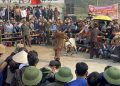 LỄ HỘI CHỌI  DÊ VÙNG CAO NGUYÊN ĐÁ
