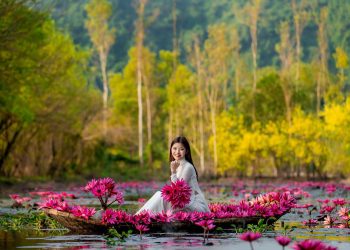 NGẮM HOA SÚNG “TÔ HỒNG” SUỐI YẾN